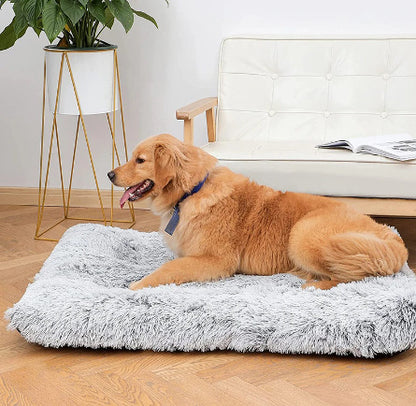 Orthopedic Pillow