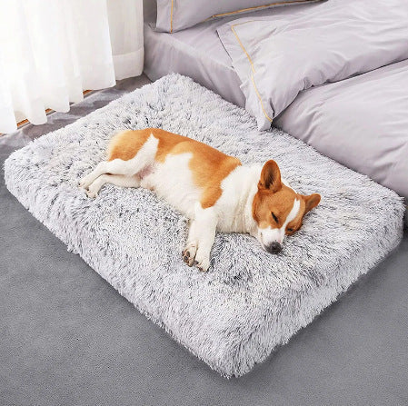 Orthopedic Pillow
