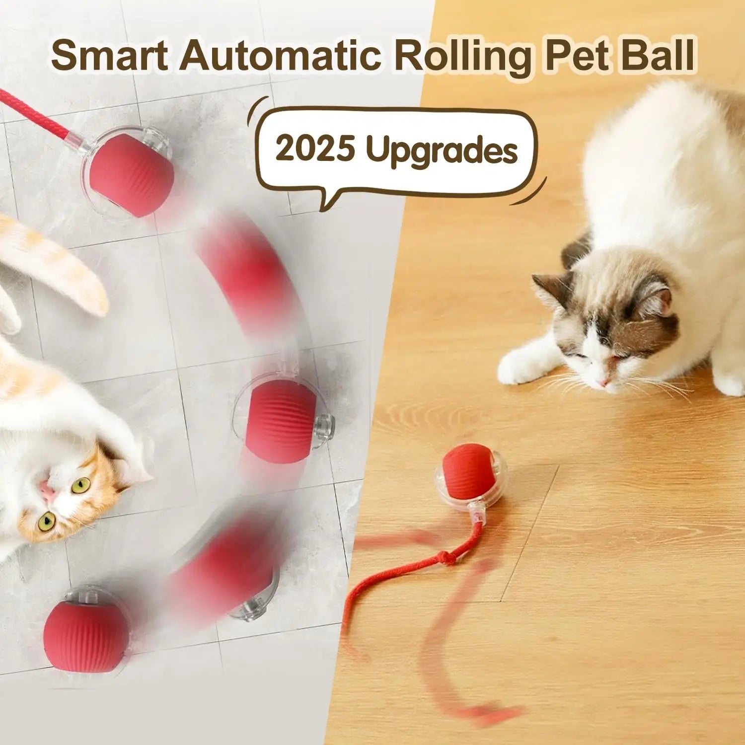Transform Playtime into Endless Joy and Health!