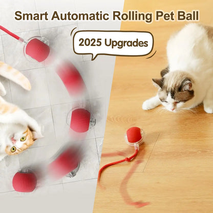 Interactive Ball Toy