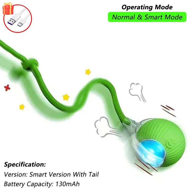 Interactive Ball Toy
