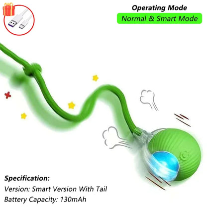 Interactive Ball Toy