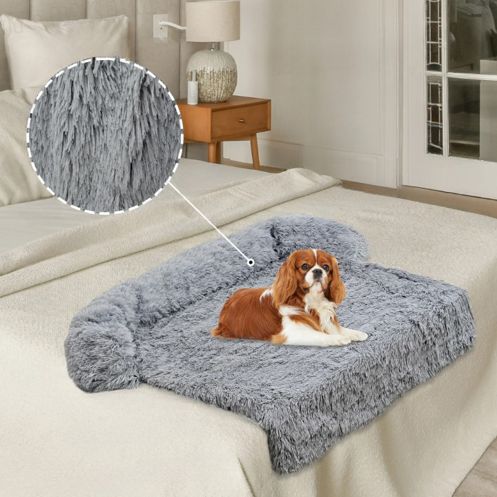 Transform Your Home into a Cozy Pet Paradise