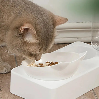 Pet Watering and Feeding Bowl