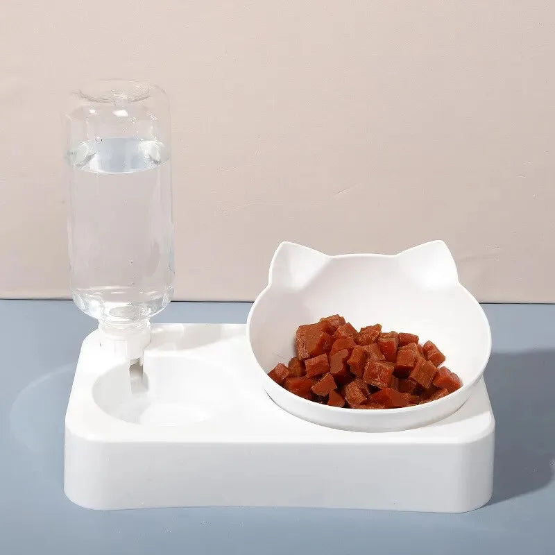 Pet Watering and Feeding Bowl