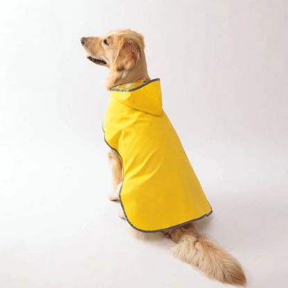 Reflective Raincoat