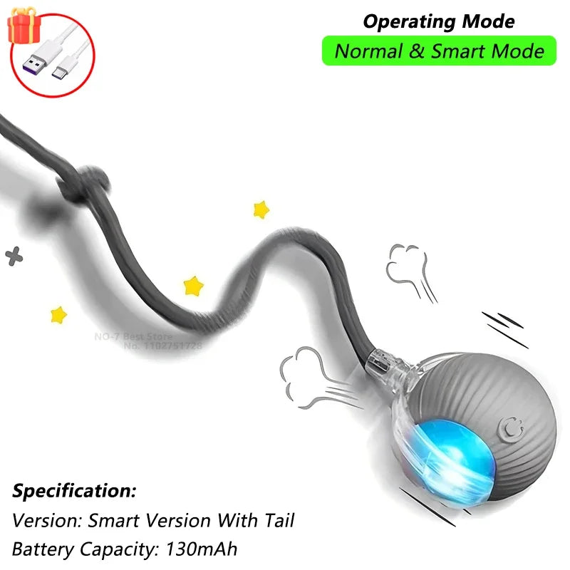 Interactive Ball Toy