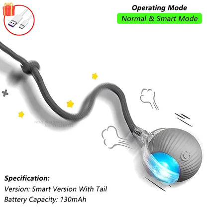 Interactive Ball Toy