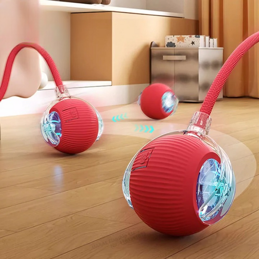 Interactive Ball Toy