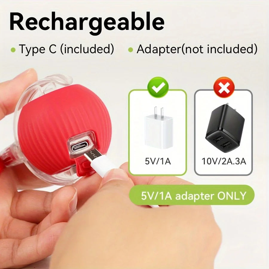 Interactive Ball Toy