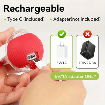 Interactive Ball Toy