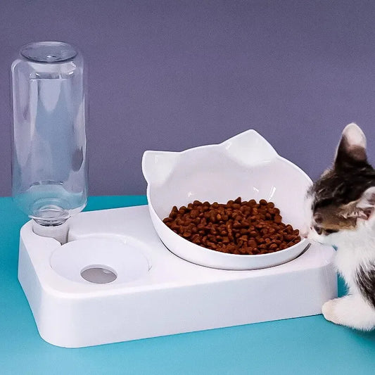 Pet Watering and Feeding Bowl