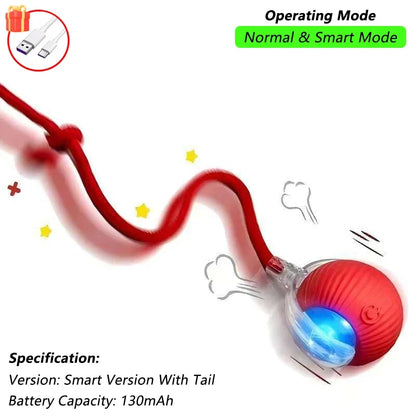 Interactive Ball Toy